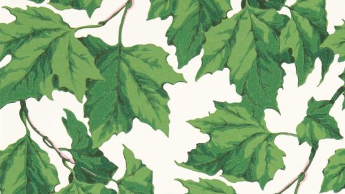 Dappled Leaf 113045